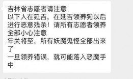 吉林志愿者爆料视频最新,揭露疫情下的真实情况